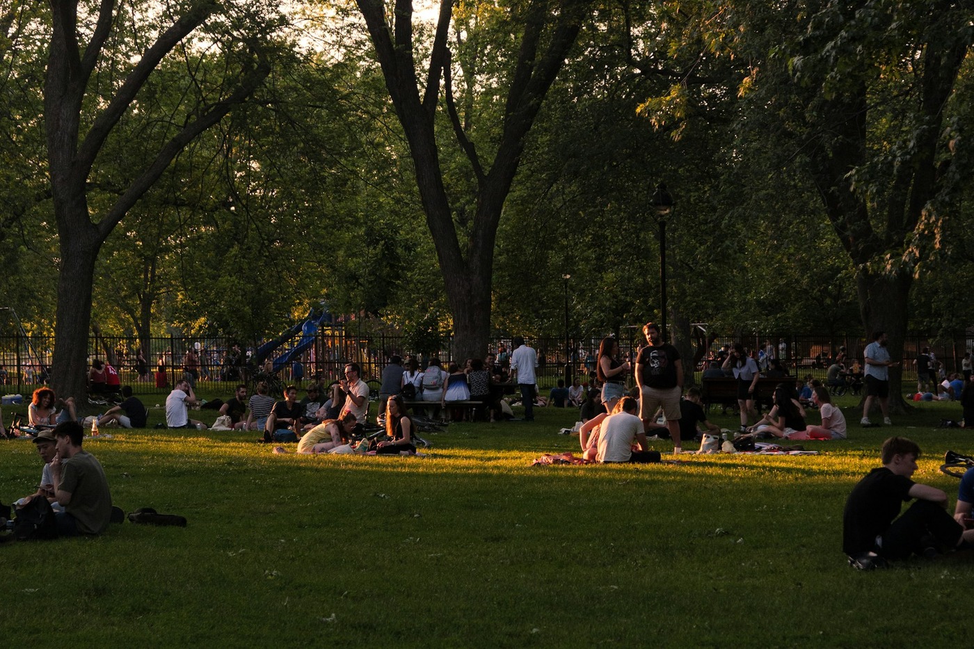 Міський пікнік без одноразового сміття: меню, посуд і безпечне зберігання їжі — Деталі, контекст і реальні приклади